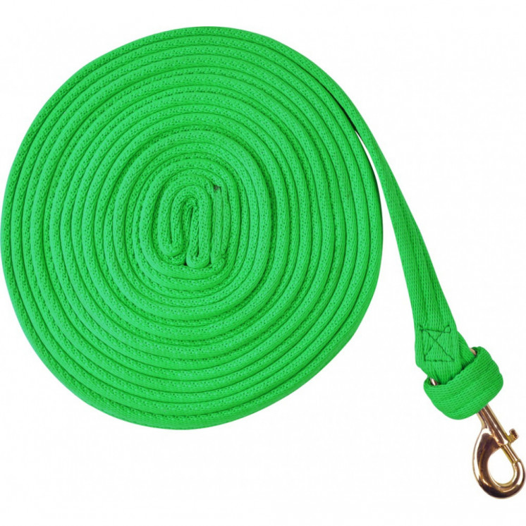 Longe de Travail Fluo NORTON Sellerie Equi'Nature