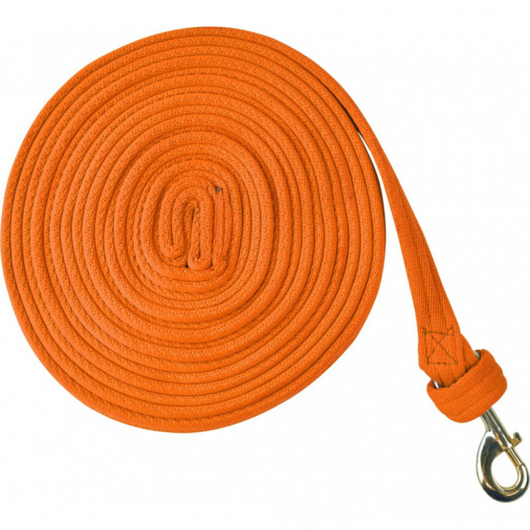 Longe de Travail Fluo NORTON Sellerie Equi'Nature