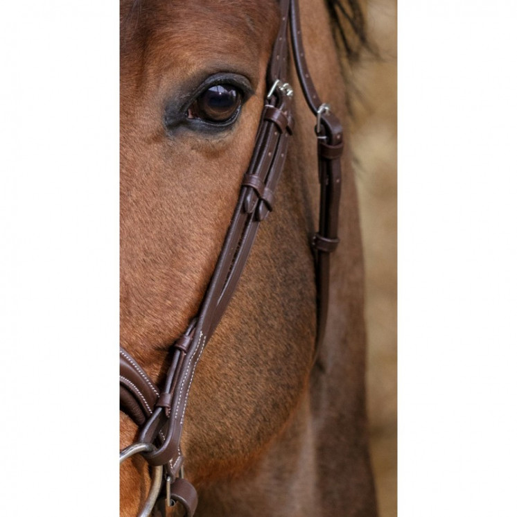 Bridon Miss NORTON Sellerie Equi'Nature