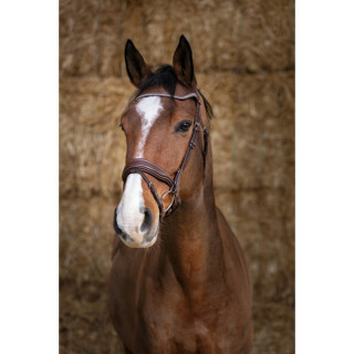 Bridon Miss NORTON Sellerie Equi'Nature