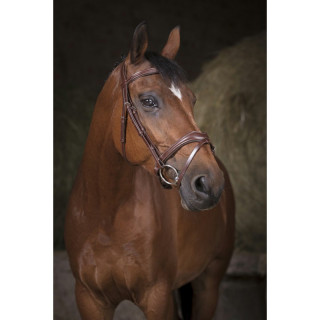 Bridon Vague NORTON Sellerie Equi'Nature