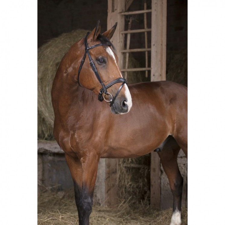 Bridon Vague NORTON Sellerie Equi'Nature