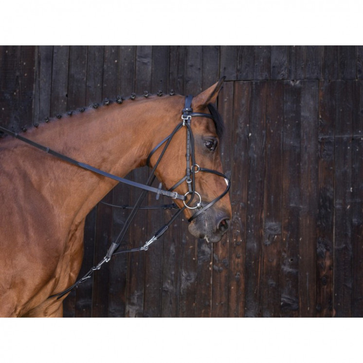 Gogue à poulies RIDING WORLD Sellerie Equi'Nature