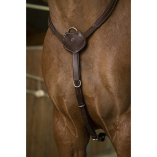Collier de Chasse Confort NORTON Sellerie Equi'Nature
