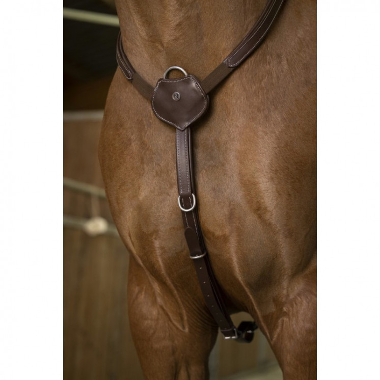 Collier de Chasse Confort NORTON Sellerie Equi'Nature