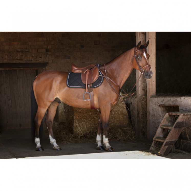 Collier de Chasse Hybrid ERIC THOMAS  Sellerie Equi'Nature