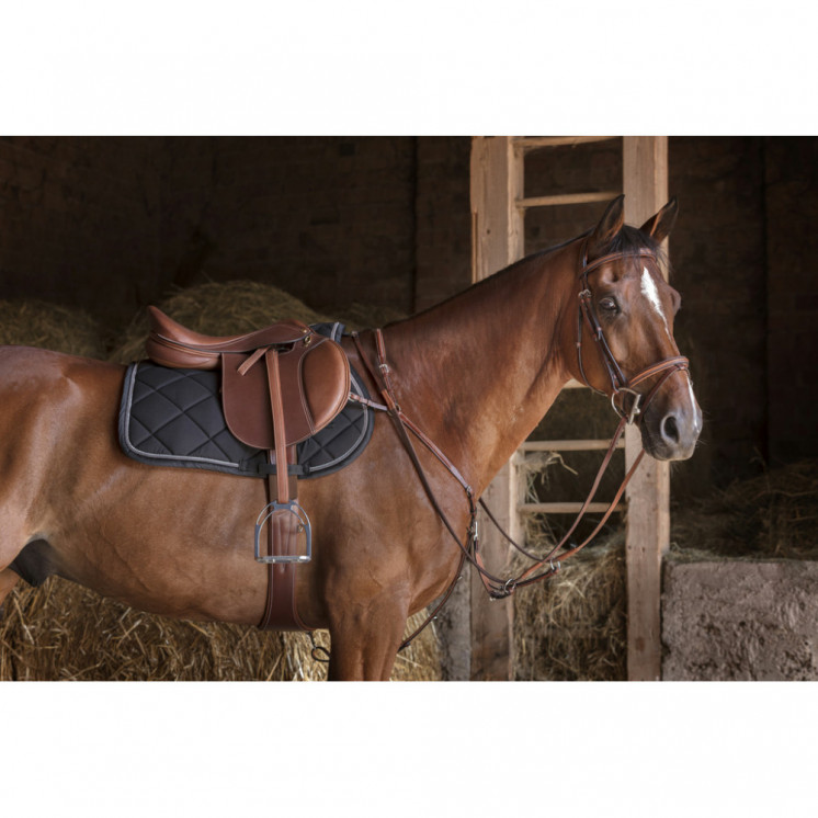 Collier de Chasse Hybrid ERIC THOMAS  Sellerie Equi'Nature