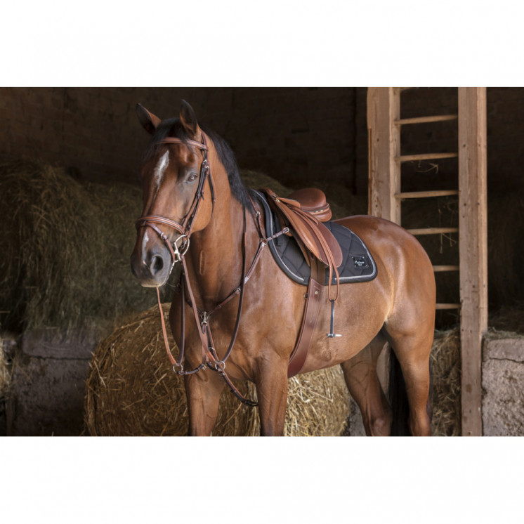Collier de Chasse Hybrid ERIC THOMAS  Sellerie Equi'Nature