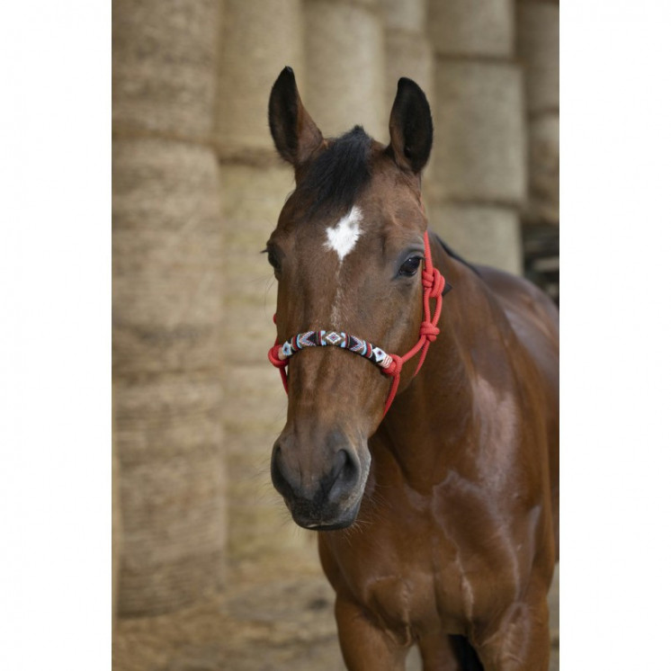 Licol éthologique Pearl NORTON Sellerie Equi'Nature