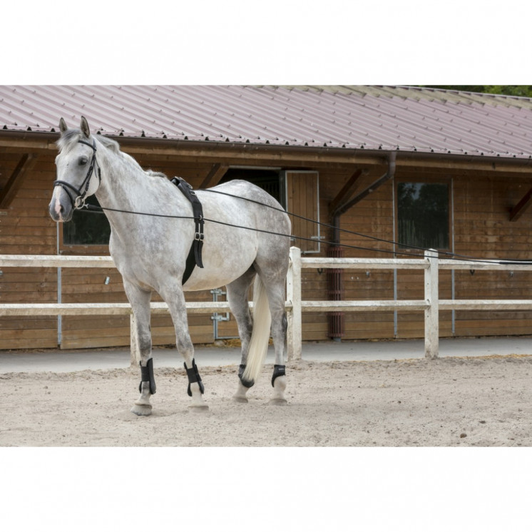 Longues rênes cuir/corde RIDING WORLD Sellerie Equi'Nature