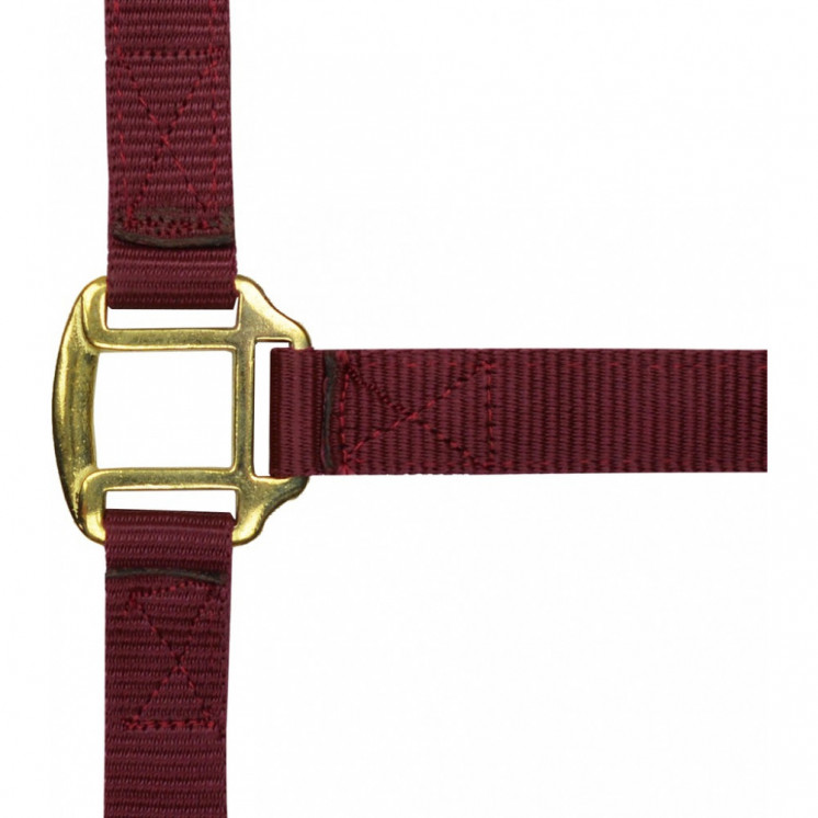 Licol nylon doublé cuir NORTON Sellerie Equi'Nature