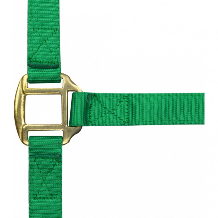 Licol nylon doublé cuir NORTON Sellerie Equi'Nature
