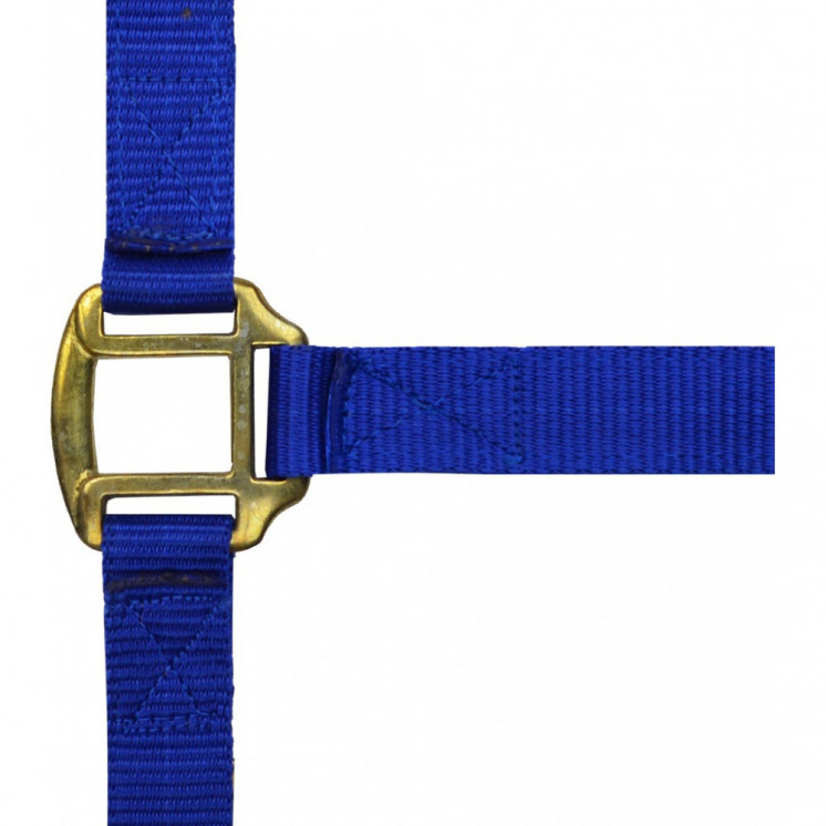 Licol nylon doublé cuir NORTON Sellerie Equi'Nature