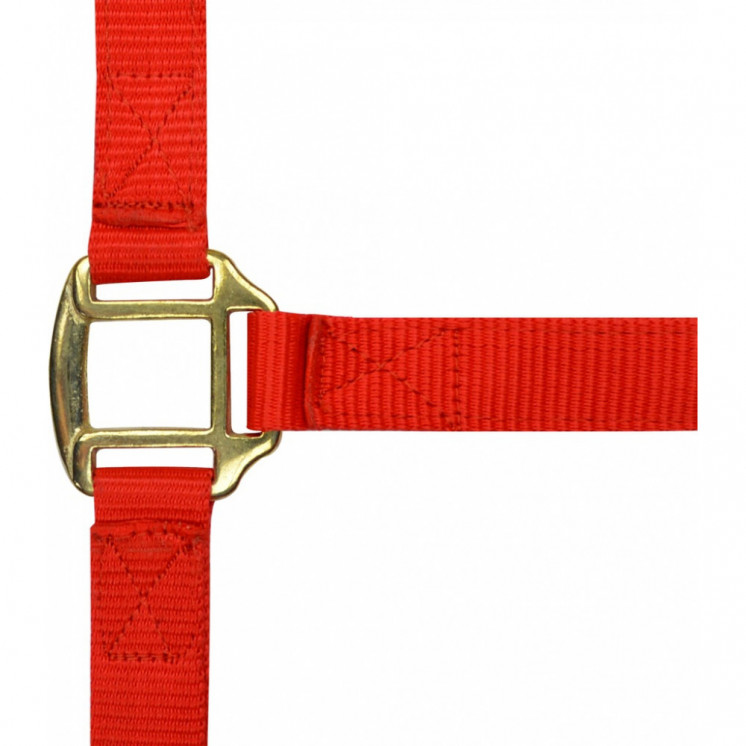 Licol nylon doublé cuir NORTON Sellerie Equi'Nature