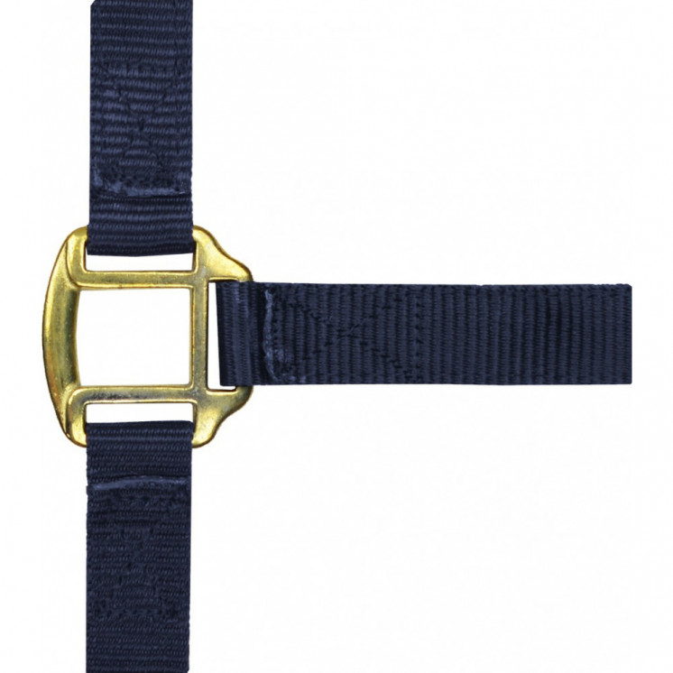 Licol nylon doublé cuir NORTON Sellerie Equi'Nature