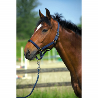Licol nylon doublé cuir NORTON Sellerie Equi'Nature