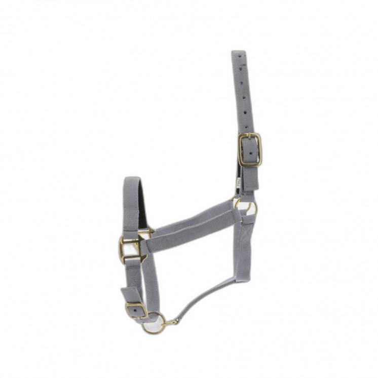 Licol nylon doublé cuir NORTON Sellerie Equi'Nature
