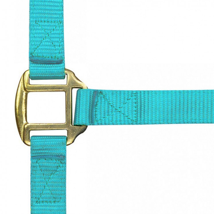 Licol nylon doublé cuir NORTON Sellerie Equi'Nature