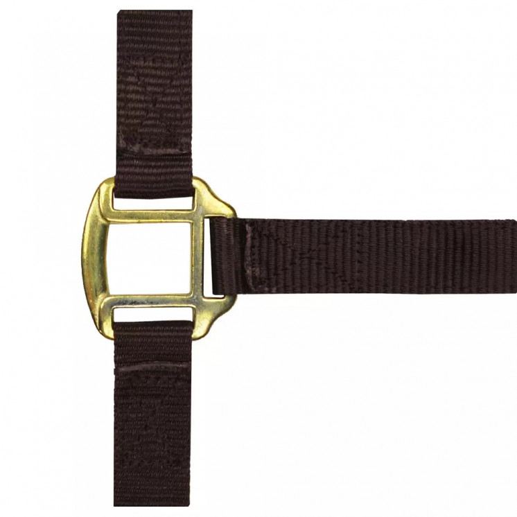Licol nylon doublé cuir NORTON Sellerie Equi'Nature