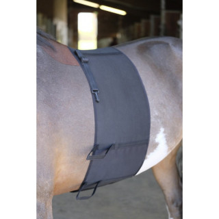 Bande de respect NORTON Sellerie Equi'Nature