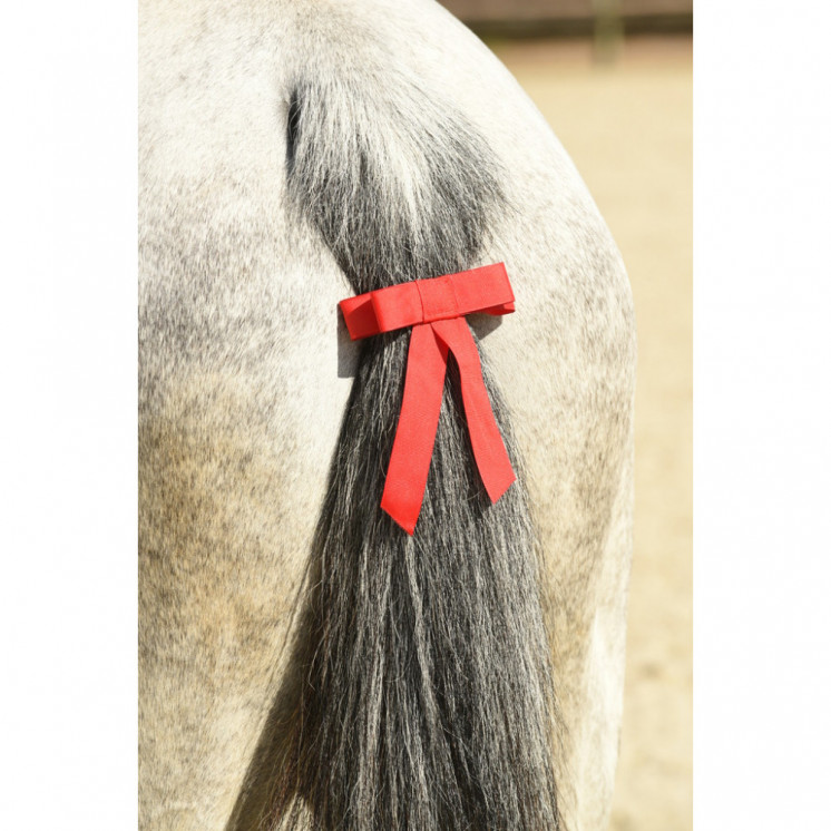 Ruban de queue rouge NORTON Sellerie Equi'Nature
