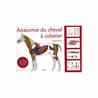 Livre anatomie du cheval à colorier VIGOT Sellerie Equi'Nature