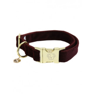 Collier pour chien Velvet KENTUCKY Sellerie Equi'Nature