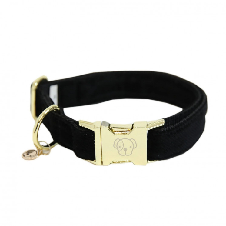 Collier pour chien Velvet KENTUCKY Sellerie Equi'Nature