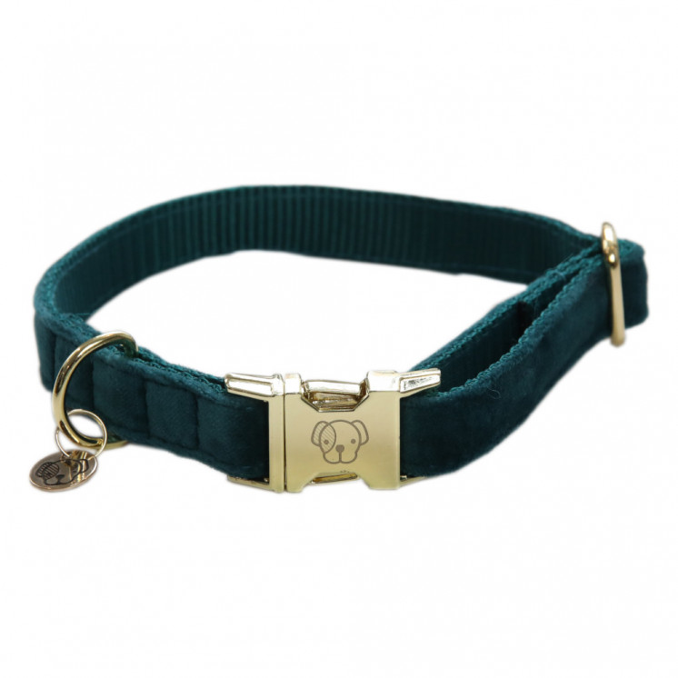 Collier pour chien Velvet KENTUCKY Sellerie Equi'Nature