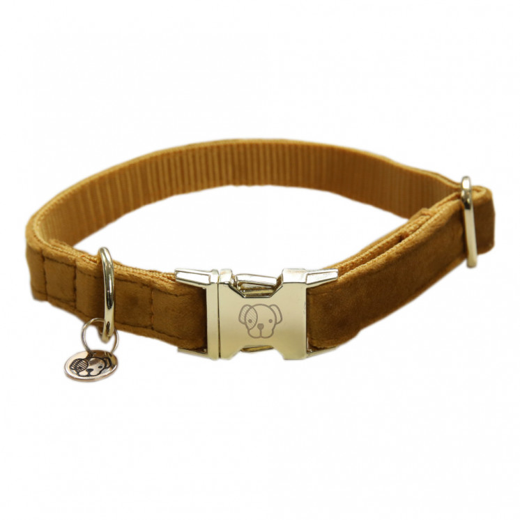 Collier pour chien Velvet KENTUCKY Sellerie Equi'Nature