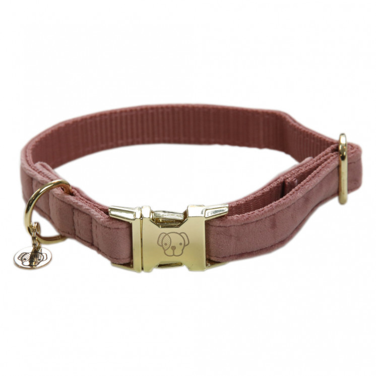 Collier pour chien Velvet KENTUCKY Sellerie Equi'Nature
