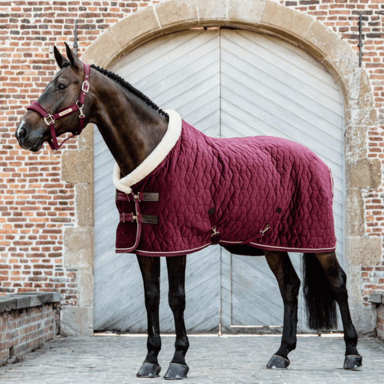 Couverture de présentation 160g Velvet KENTUCKY Sellerie Equi'Nature