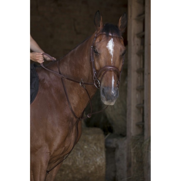 Martingale à Anneaux NORTON PRO Sellerie Equi'Nature
