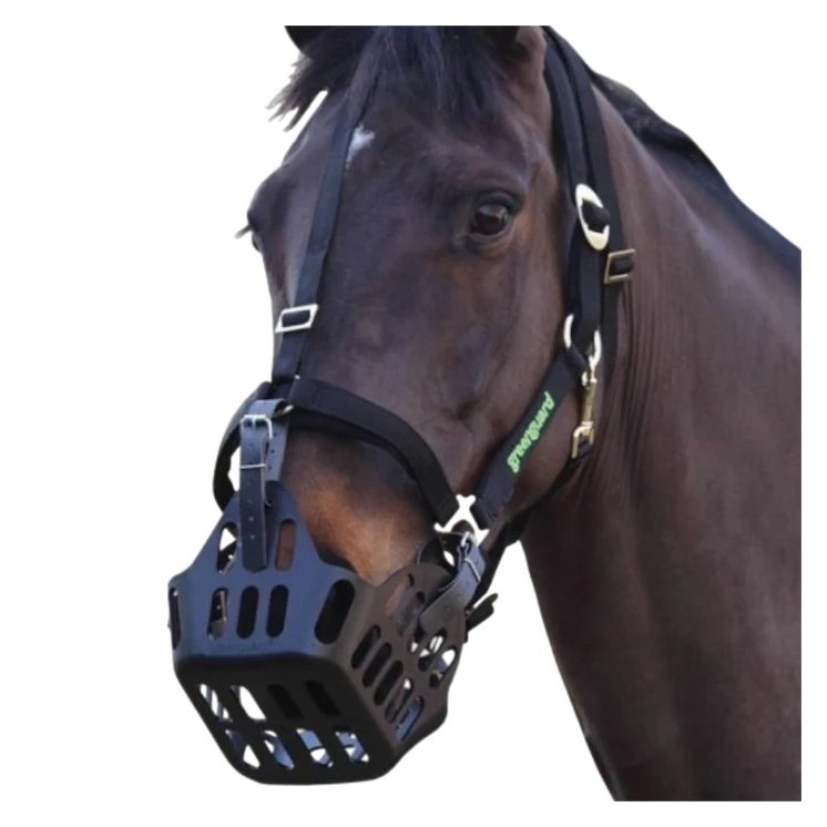 Panier anti fourbure GREENGUARD Sellerie Equi'Nature