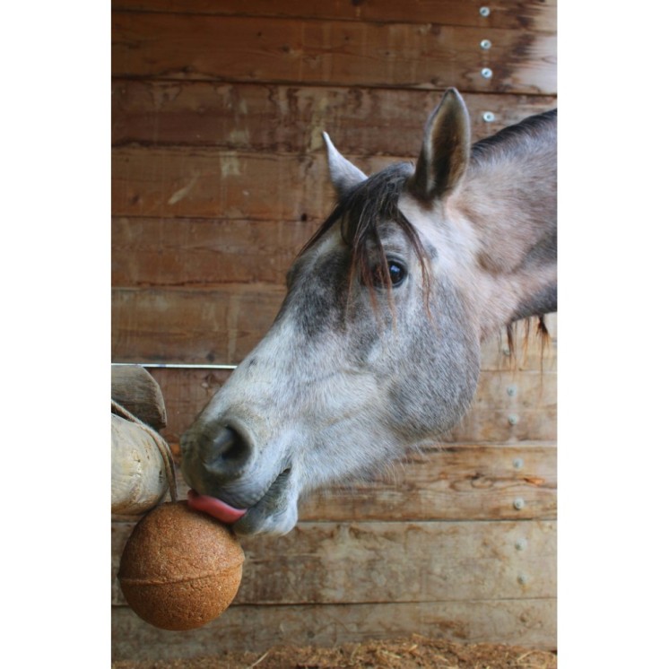 Boule Endurance UNIKA BALLS Sellerie Equi'Nature