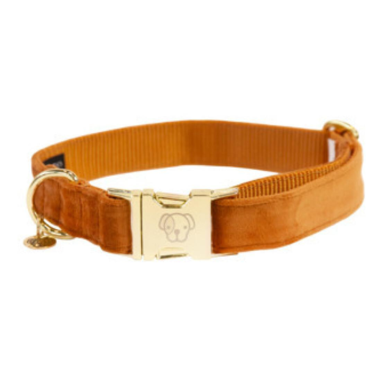 Collier pour chien Velvet KENTUCKY Sellerie Equi'Nature