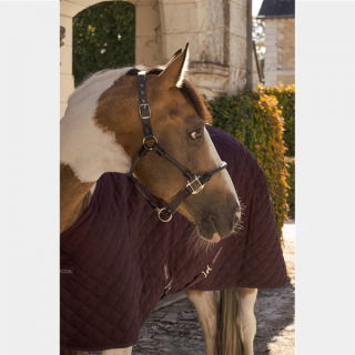 Licol Honey HARCOUR Sellerie Equi'Nature