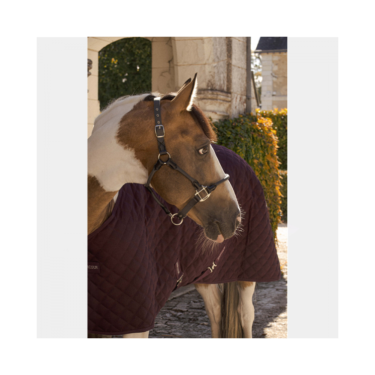 Licol Honey HARCOUR Sellerie Equi'Nature