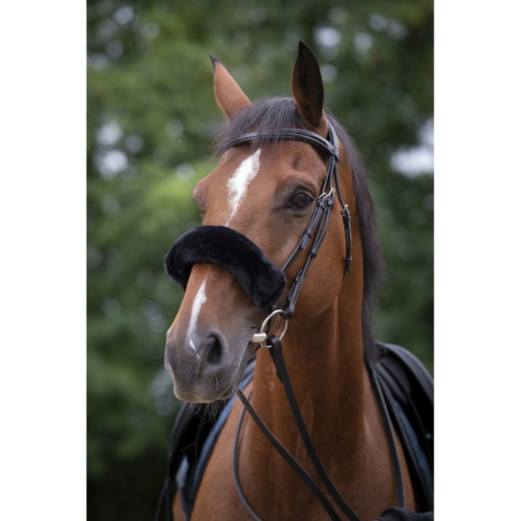 Fourreau de muserolle Teddy EQUITHEME Sellerie Equi'Nature