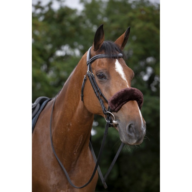 Fourreau de muserolle Teddy EQUITHEME Sellerie Equi'Nature