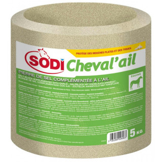 Bloc de sel SODI Ail