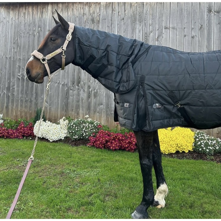 Couverture de box 300gr avec cou EQUI'NATURE