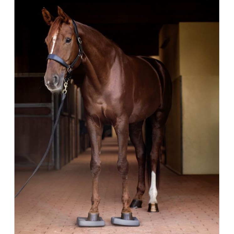 Semelles d'équilibre Health + Care  - WALDHAUSEN