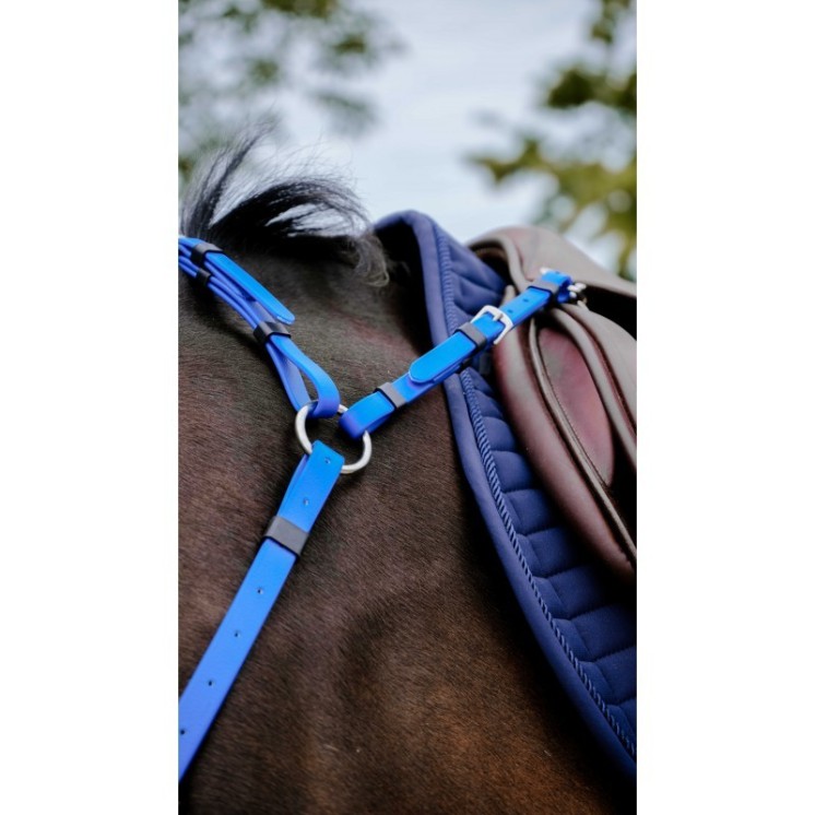 Collier de chasse endurance POP NORTON