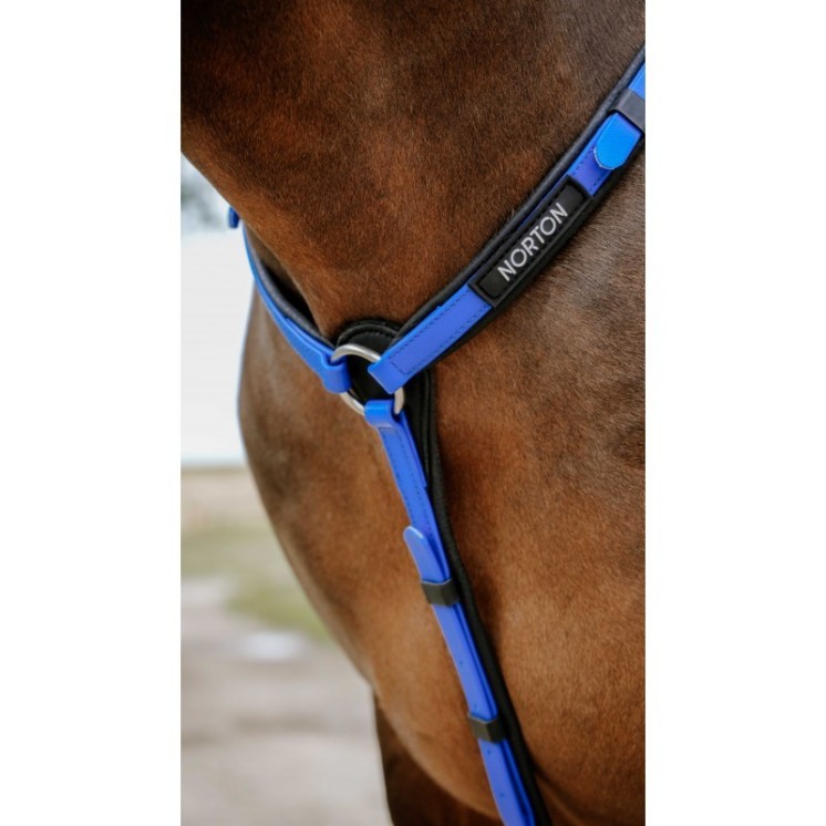 Collier de chasse endurance POP NORTON