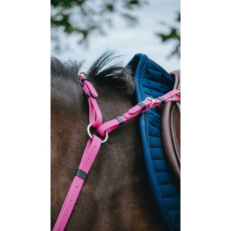 Collier de chasse endurance POP NORTON