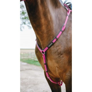 Collier de chasse endurance POP NORTON