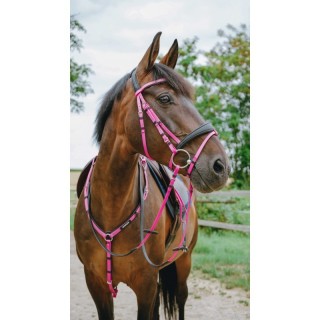Bridon endurance POP NORTON