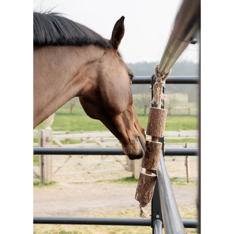 Jouet en bois relaxant pour cheval KENTUCKY
