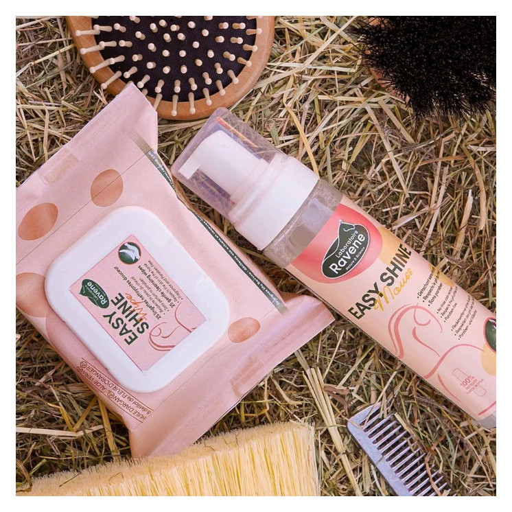 Easy shine wipe lingettes nettoyantes RAVENE